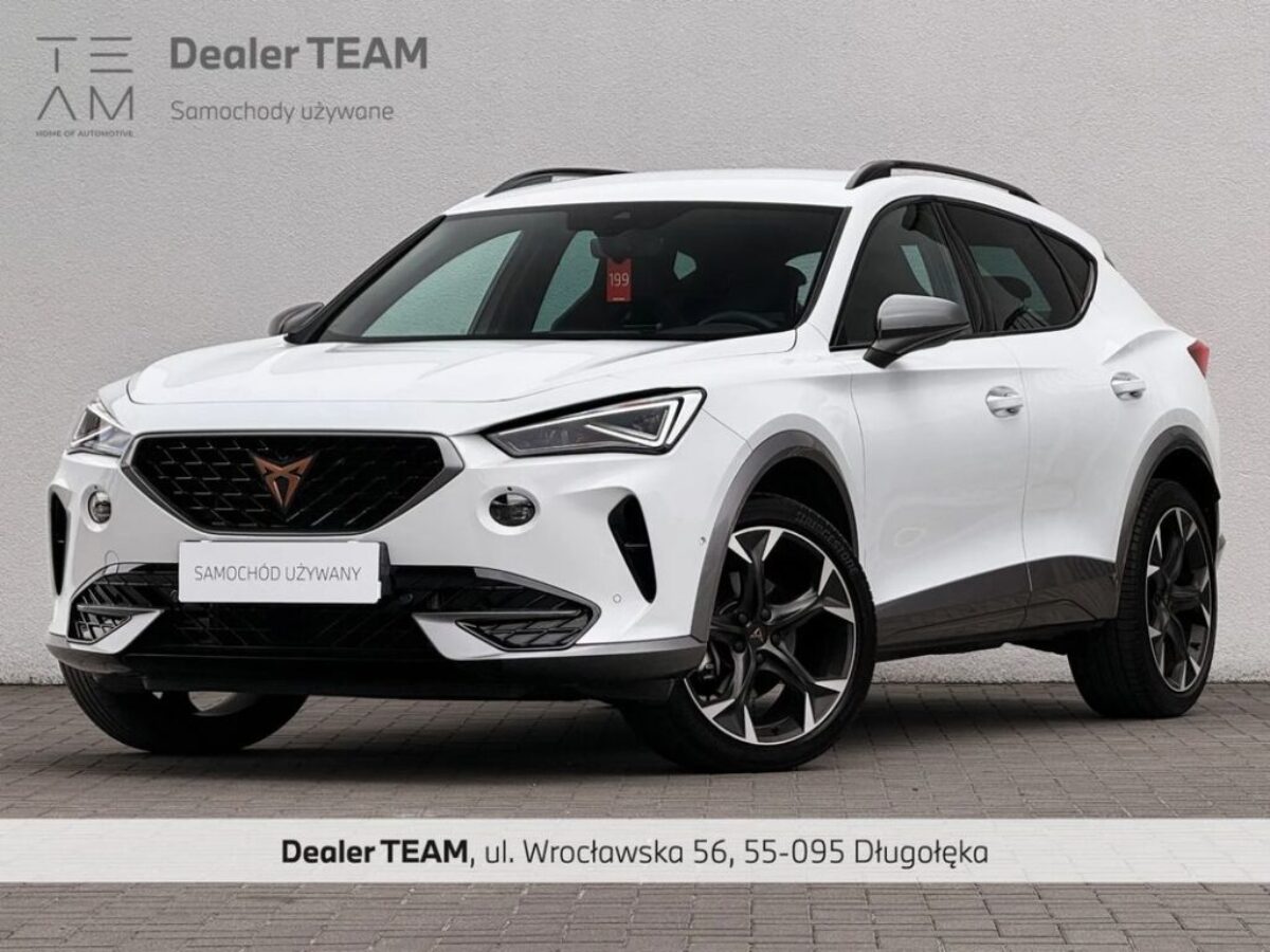 Cupra Cupra-Formentor 2.0 TSI 4Drive DSG 190 KM