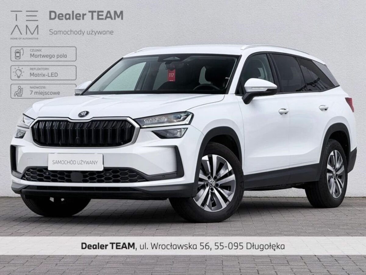 Skoda Kodiaq 2.0 TDI 4X4 Selection DSG 2024