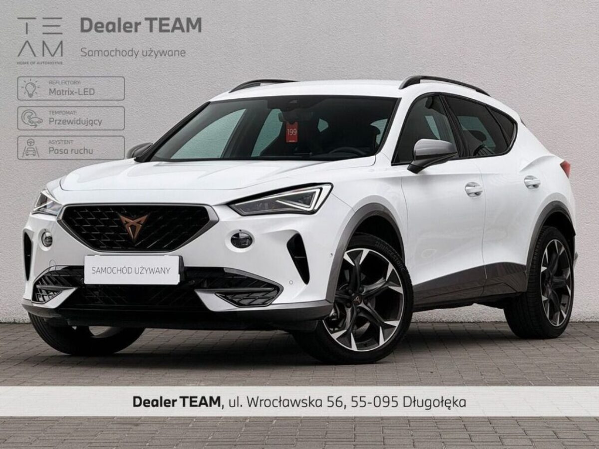 Cupra Cupra-Formentor 2.0 TSI 4Drive DSG 2024